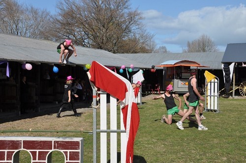 DSC 0071 big big