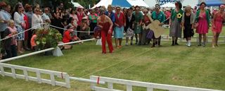 DSC 0249 big
